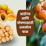 Khumani Fruit Benefits in Marathi: आरोग्य आणि पोषणासाठी अनमोल फळ | Apricot Health Benefits in Marathi