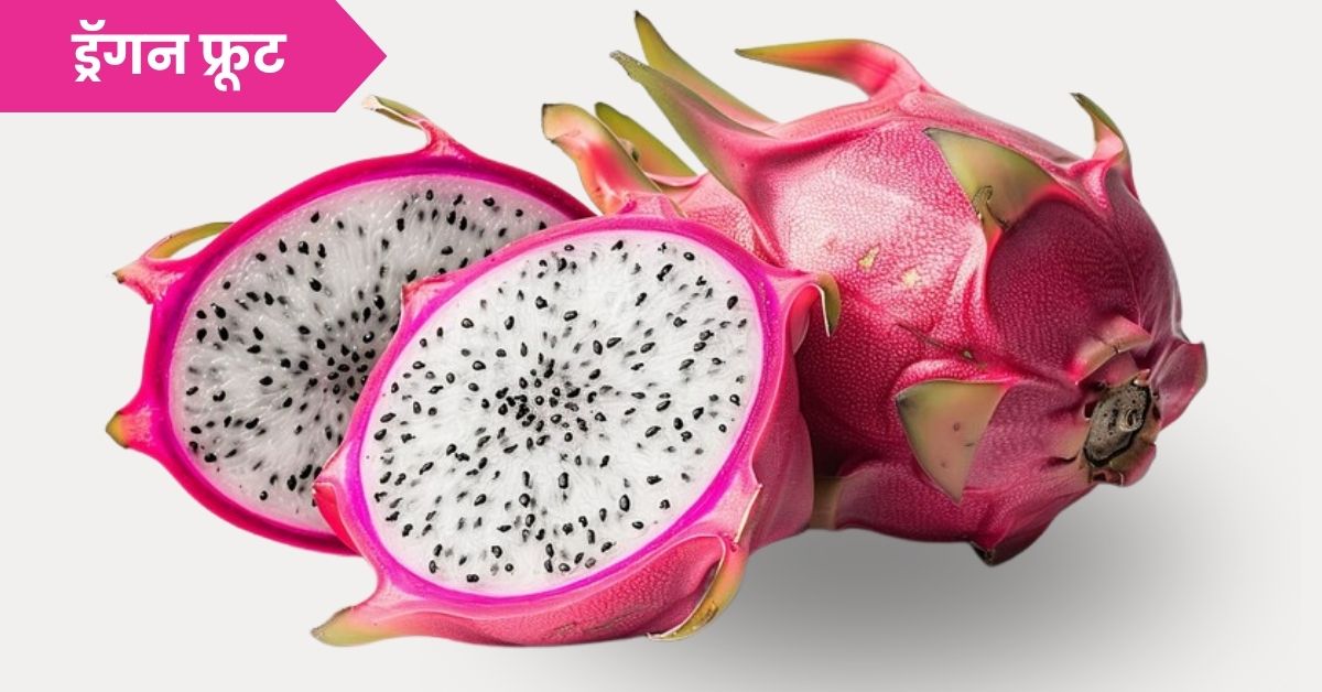 ड्रॅगन फ्रूट आणि त्याचे फायदे: Dragon Fruit Benefits in Marathi