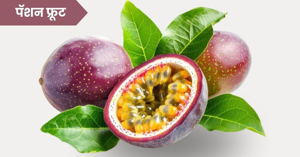 Passion fruit in Marathi: पॅशन फ्रुट आणि त्याचे फायदे: Passion Fruit Benefits​