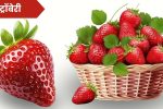 Strawberry Information in Marathi: स्ट्रॉबेरी फळाची संपूर्ण माहिती मराठी