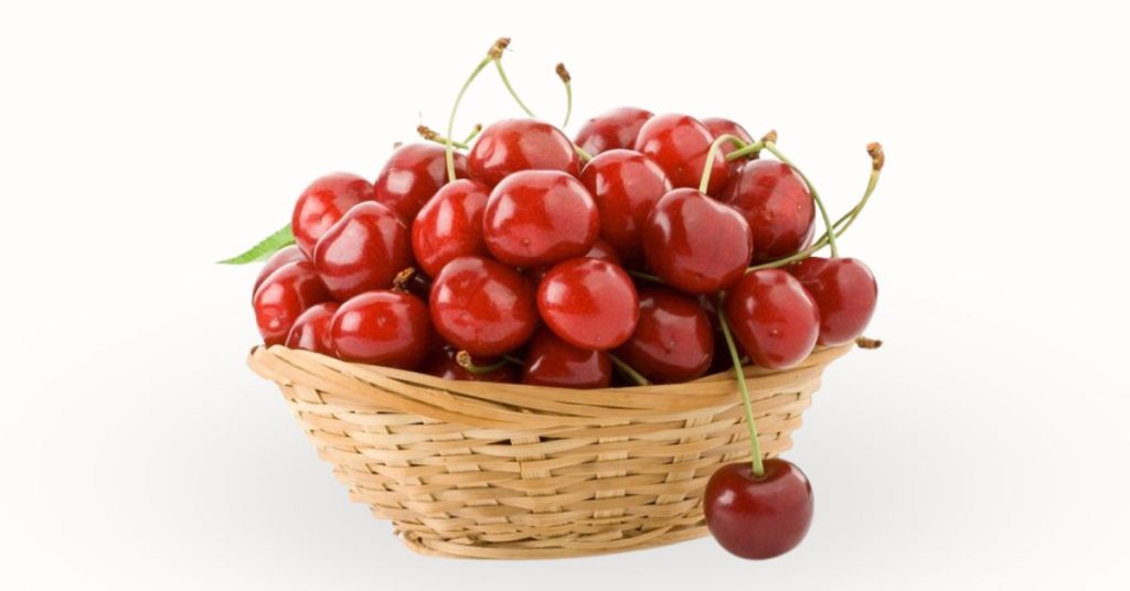 चेरी फळाची संपूर्ण माहिती: Cherry Fruit in Marathi