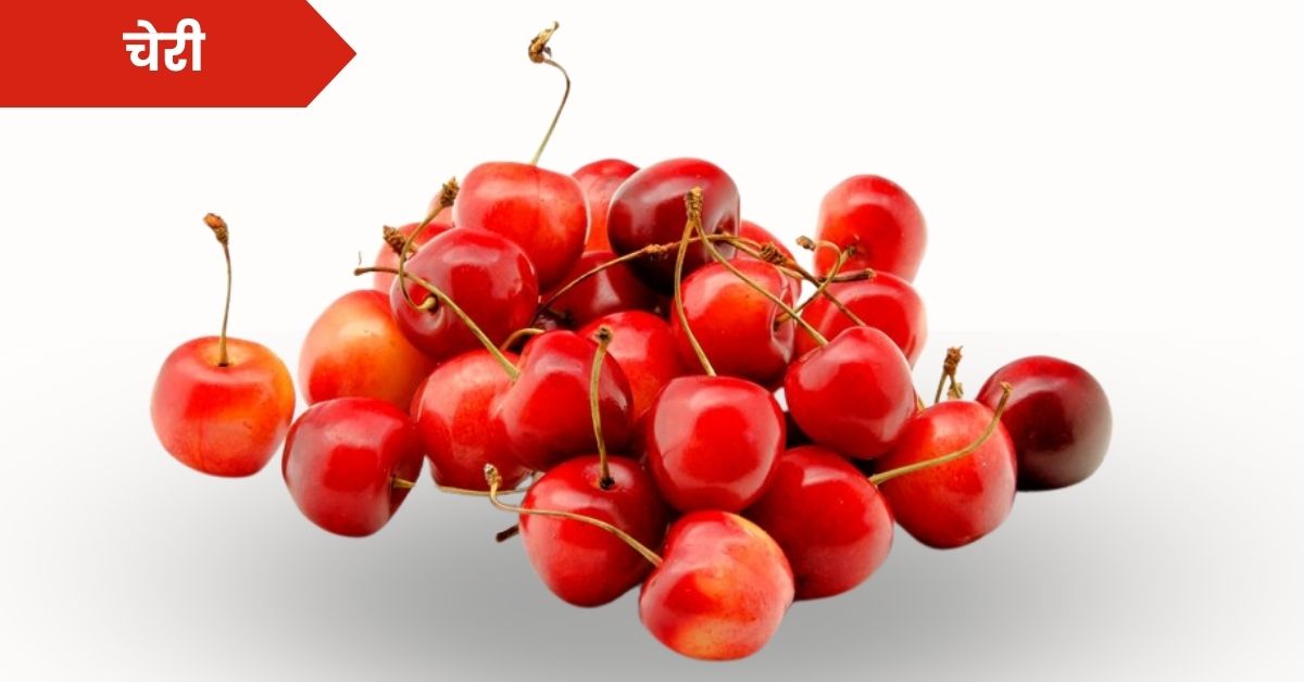 चेरी फळाची संपूर्ण माहिती: Cherry Fruit in Marathi