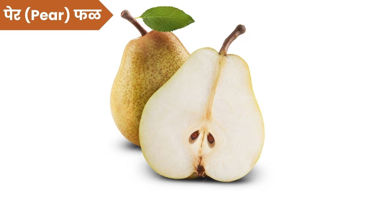 पेर (Pear) फळाची संपूर्ण माहिती: Pears Fruit in Marathi