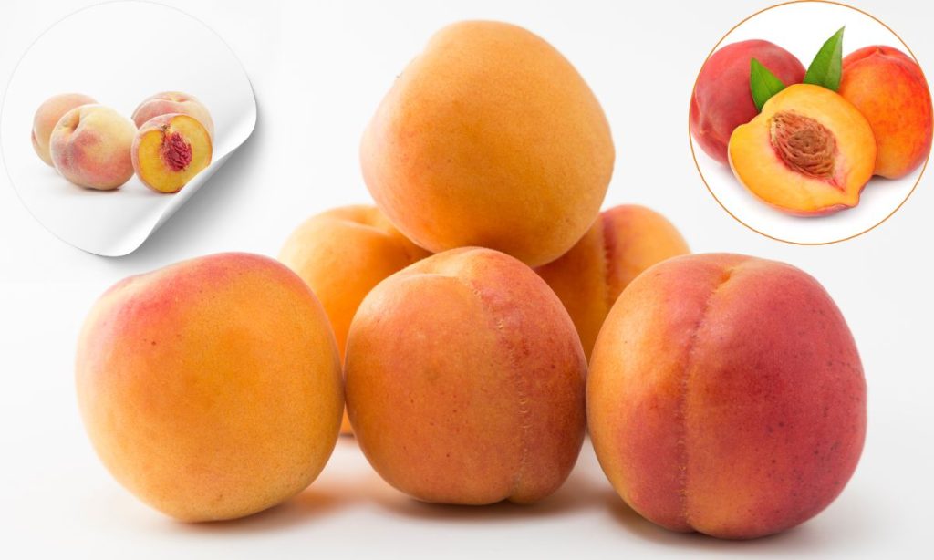 आड़ू फळाची संपूर्ण माहिती: Peach Fruit in Marathi