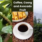 Coffee, Coorg and Avocado Fruit: भारताच्या निसर्गराजीतून बहरलेली संपत्ती