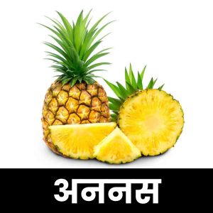 अननस (Pineapple)