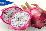 ड्रॅगन फ्रूट (पिताया) ची संपूर्ण माहिती: Dragon Fruit Information in Marathi