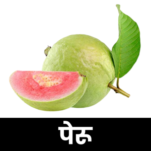 पेरू (Guava)