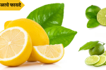 Lemon Fruit Benefits: आरोग्यासाठी लाभदायक असणाऱ्या लिंबू फळाचे फायदे