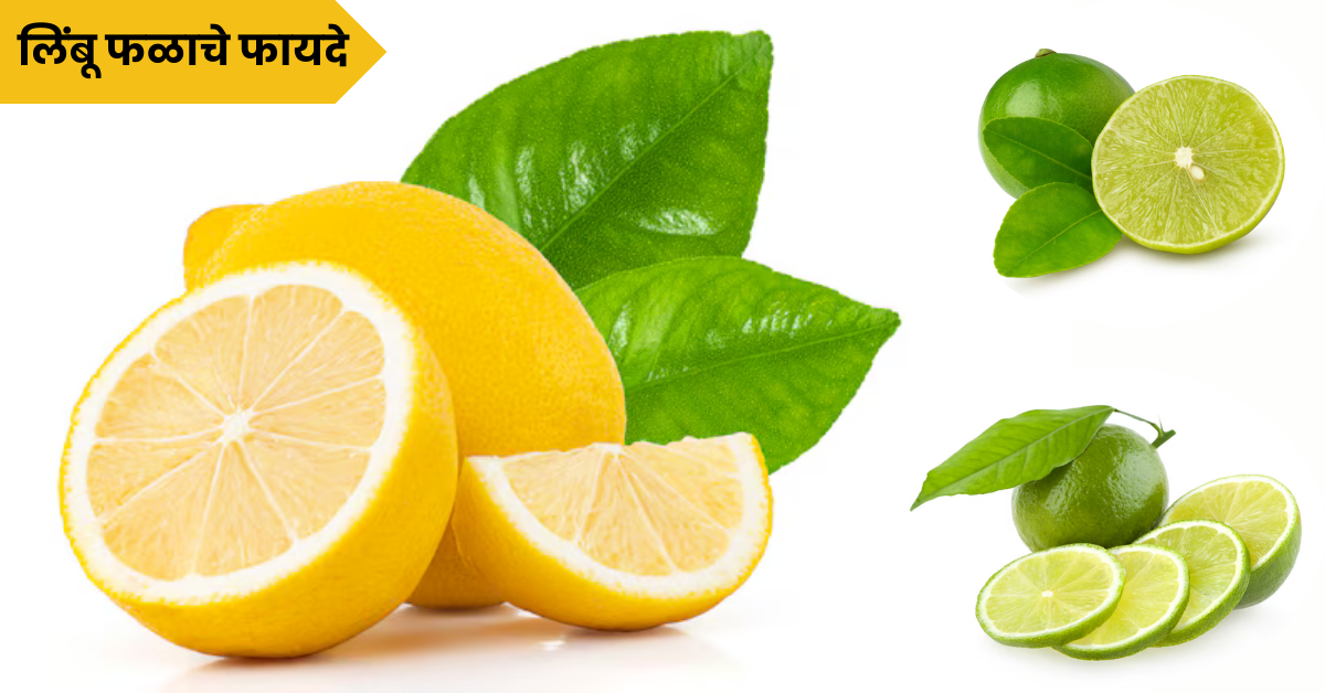 Lemon Fruit Benefits: आरोग्यासाठी लाभदायक असणाऱ्या लिंबू फळाचे फायदे