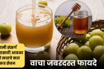 Amla and Honey Benefits: हंगामी संसर्ग टाळण्यासाठी आवळा आणि मधाचे करा एकत्र सेवन; वाचा जबरदस्त फायदे