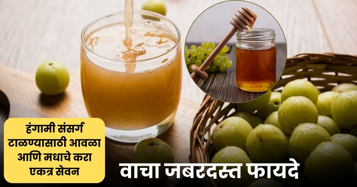 Amla and Honey Benefits: हंगामी संसर्ग टाळण्यासाठी आवळा आणि मधाचे करा एकत्र सेवन; वाचा जबरदस्त फायदे