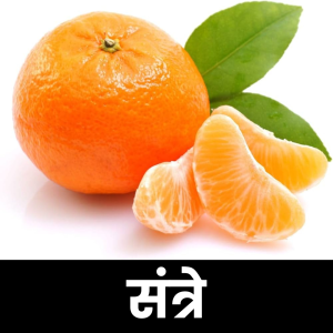 संत्रे (Orange)