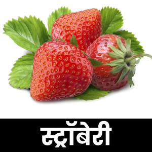 स्ट्रॉबेरी (Strawberry)